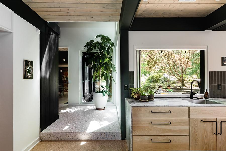 An interior shot of a kitchen counter with an open window above the sink and a hallway anchored by a large potted plant to the left.