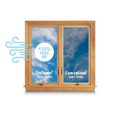 An Andersen Window with TruScene® insect screens.